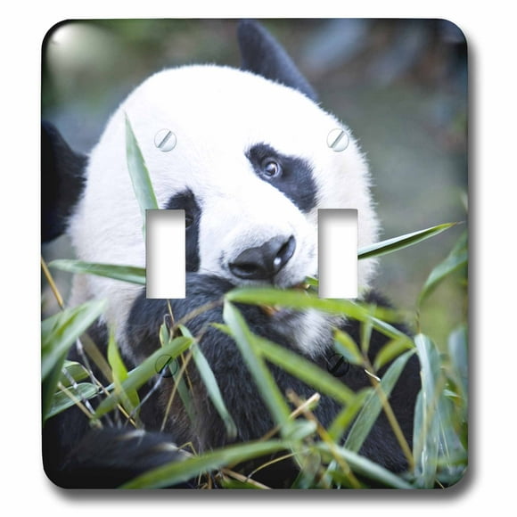 3dRose lsp_51358_2 Panda Bear Toggle Switch 3dRose lsp_51358_2 Panda Bear Toggle Switch